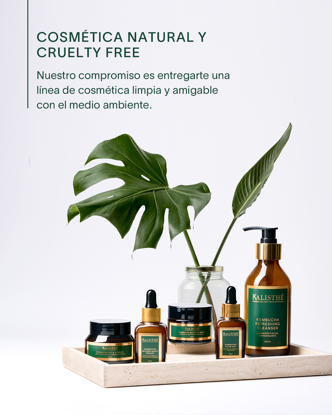 Feed-ElegirKalisthe-5 Nuestra Filosofía